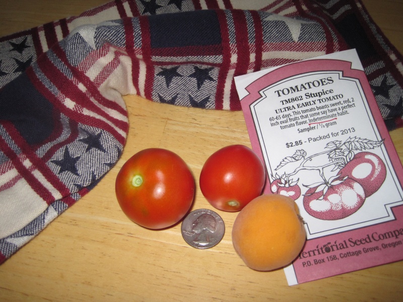 PNW Tomato Tuesday 2013 - Page 4 Stupic10