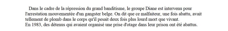 Escadron spécial d'intervention (E.S.I.) - Page 3 Diane310