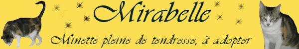 MIRABELLE en FA chez LULU - Page 3 Mirabe14