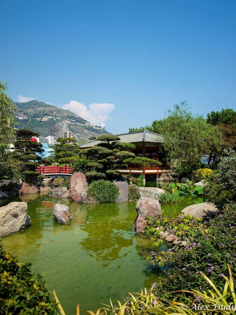 Le jardin japonais de Monaco!! P8202711