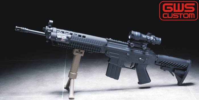 Sig 556 _556le10