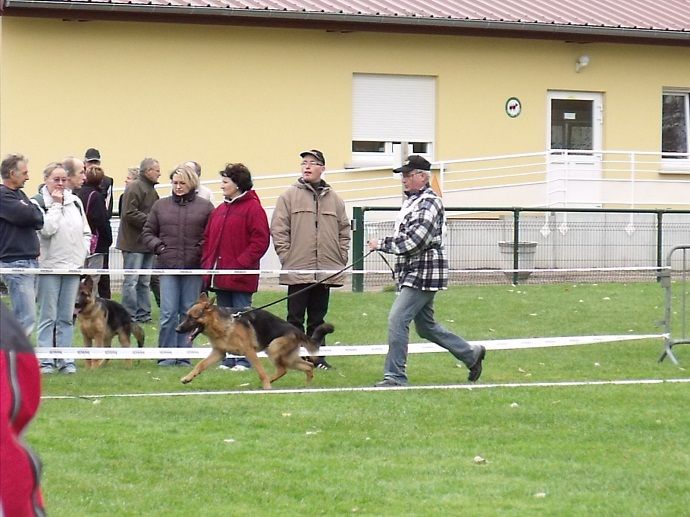 Expo à Haguenau avec Eyak Eyak_015