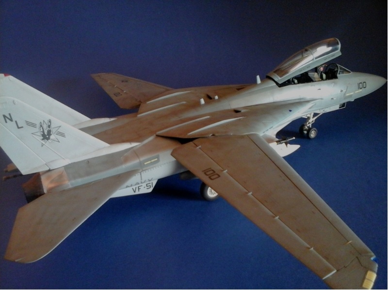 [Hobby Boss] F 14A VF-51 low visibility T0210