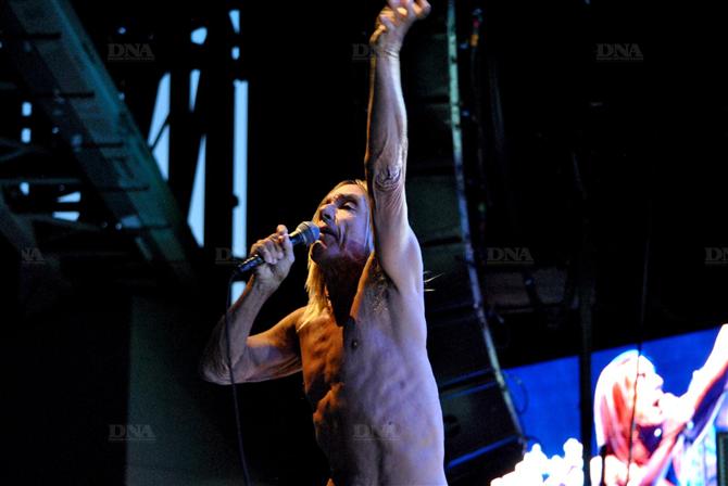 Iggy Pop 610