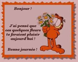 cairns de Juillet 2016 Bonjou12