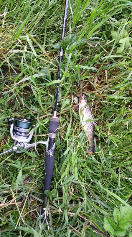 pêche - Séjour pêche à la truite dans la Manche 2ème partie 20160613