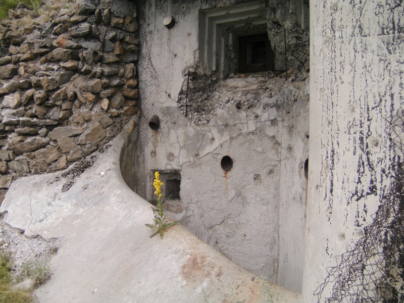 Fortification des Alpes et autre monument. Bild0316