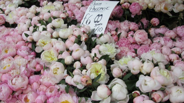 Le marché aux fleurs  Img_1818