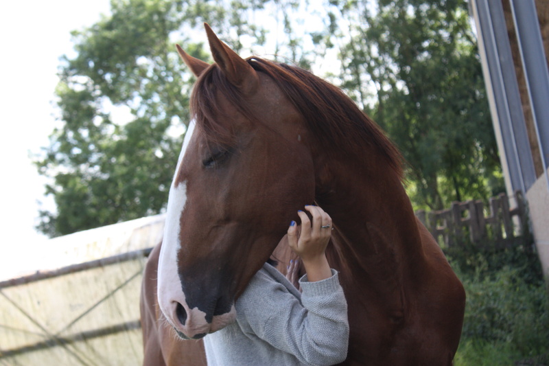 Dpt 03 - Thor Del Chapel, Tf entier de 9 ans - Réservé par Nanou (Natacha)(Avril 2016) - Page 6 Img_7610