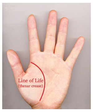 Can the length of the life line predict 'longevity'? Line-o10