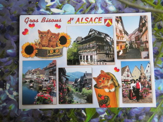 Echange carte postales d'été - Page 4 Dsci1123