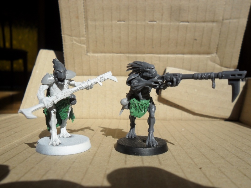 Tanaka Tribe - Kroot Trappers Sam_3212