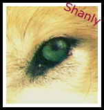 Shanly[libre] Shanly10
