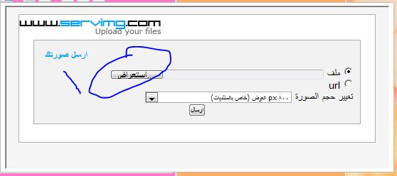 طريقة ادراج صور بالمنتدى 111