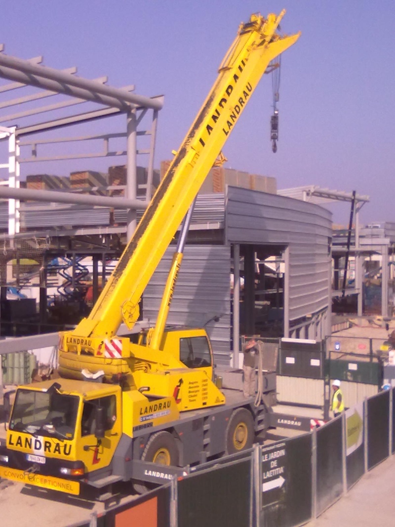 Les grues de LANDRAU (France) 23032010