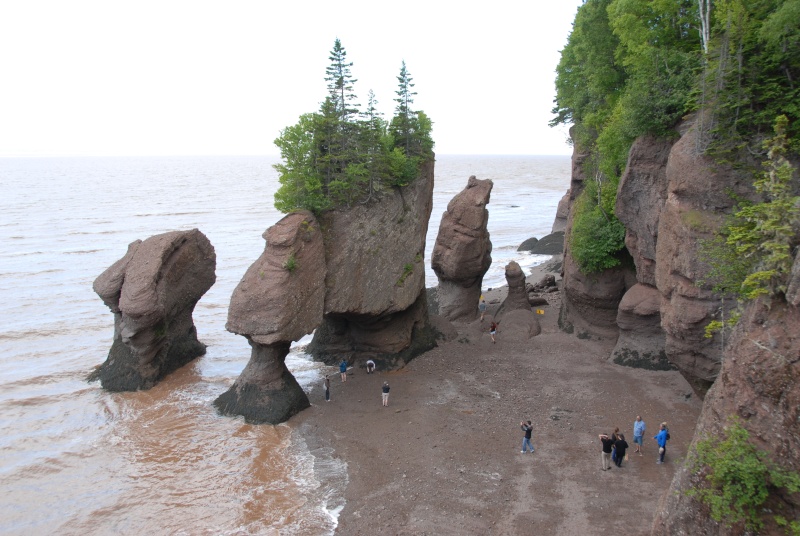 BAIE DE FUNDY. HOPEWELL ROCKS Dsc_5316