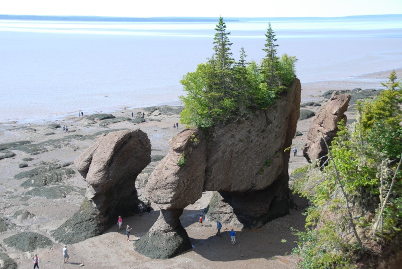 BAIE DE FUNDY. HOPEWELL ROCKS Dsc_5414