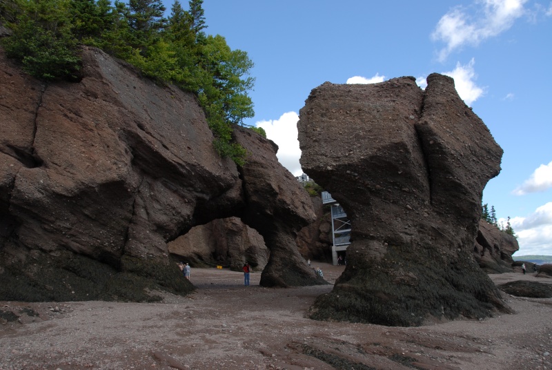 BAIE DE FUNDY. HOPEWELL ROCKS Dsc_5416