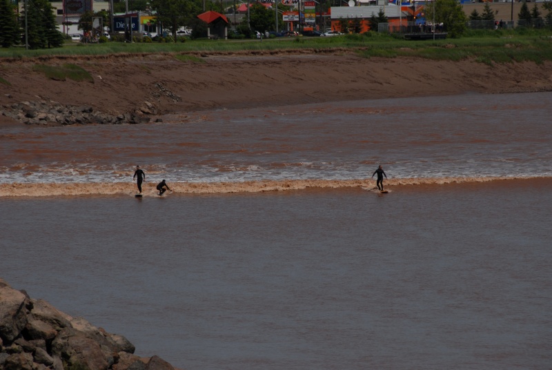 MONCTON, SA FOIRE AUX RIBS ET SON MASCARET. Dsc_5420