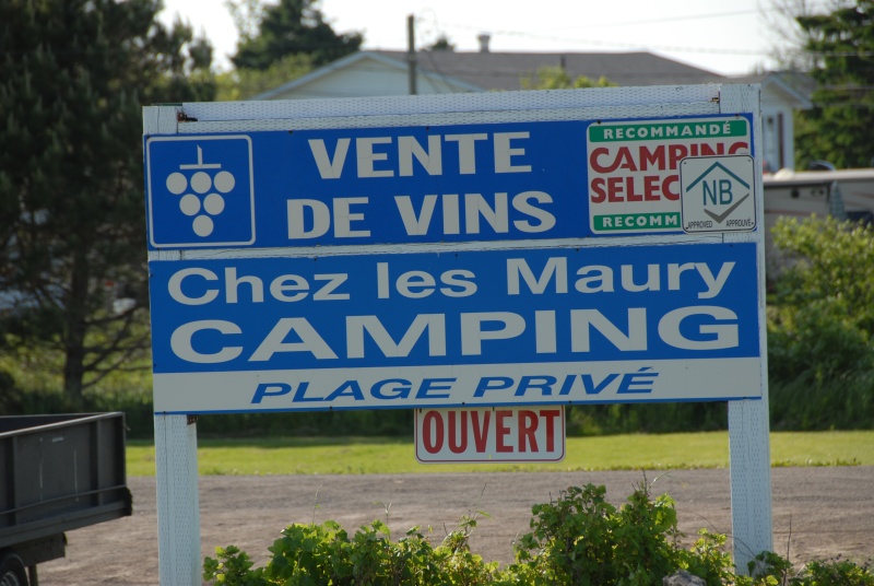 SAINT EDOUARD DE KENT, CHRISTIAN, SES VINS DE FRUITS ET SON CAMPING Dsc_5422