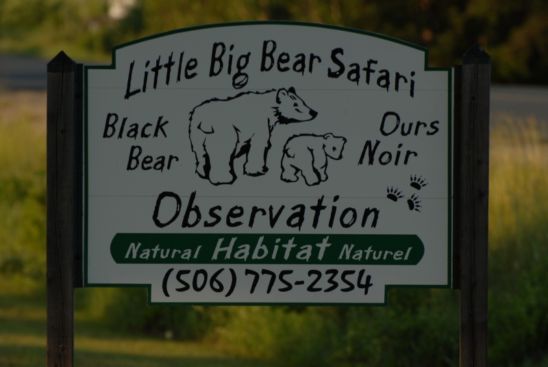 ACADIEVILLE, RICHARD ET SES OURS. Dsc_5510