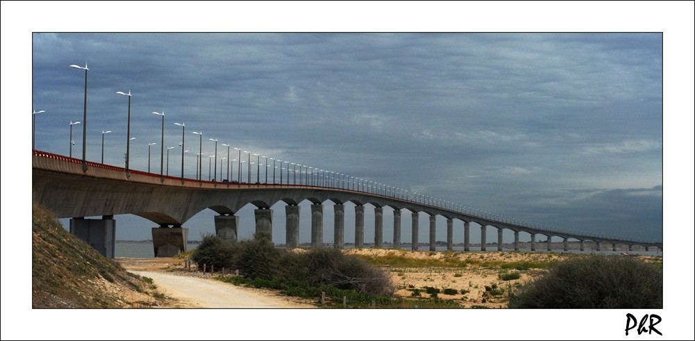 Pont de Ré [+1 essai] Adsc_914