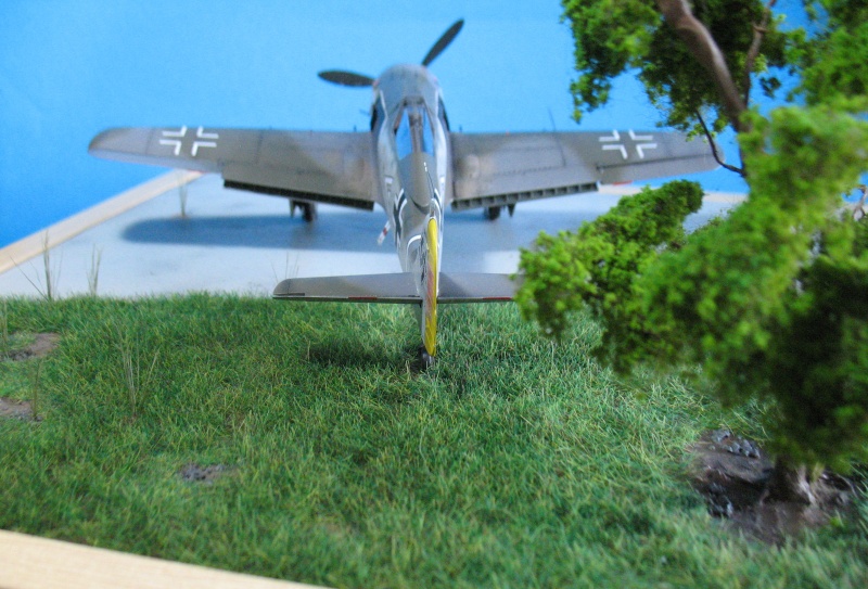 Fw 190A-5 Eduard 1/48 5310