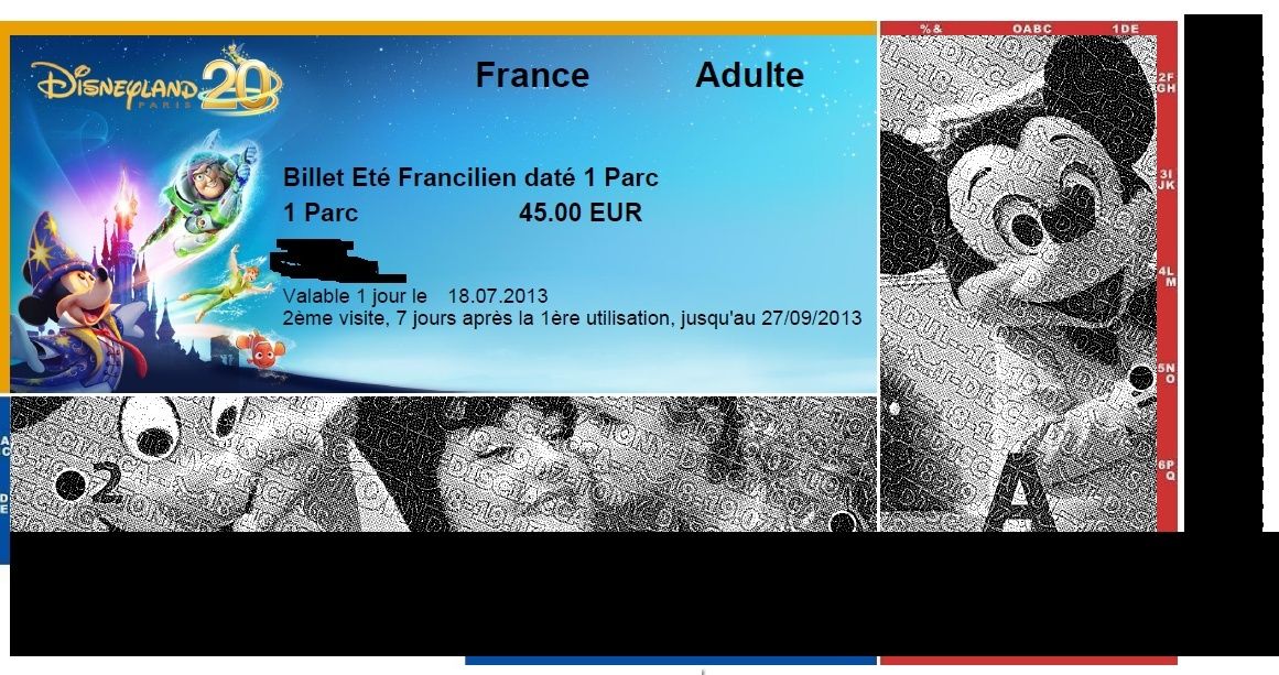  - Le paiement mensuel des Disneyland Pass  - Page 8 Ticket10