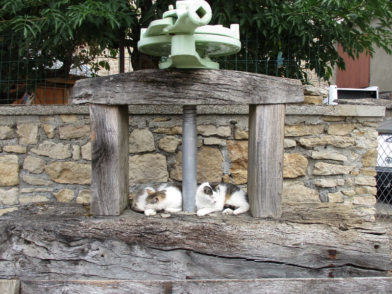 Ce chat me cherche... - Page 8 Les_fr10