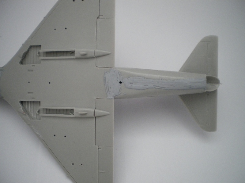 FINI [Hasegawa] A-4 E/F Skyhawk Israélien  Imgp0052
