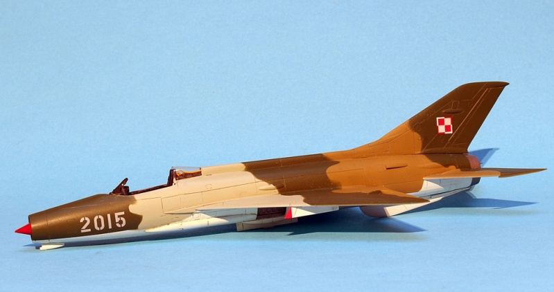 MiG - 21 F-13 - Bilek 1/72 Img_6648