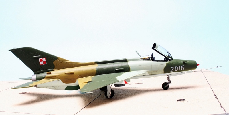 MiG - 21 F-13 - Bilek 1/72 Img_6660
