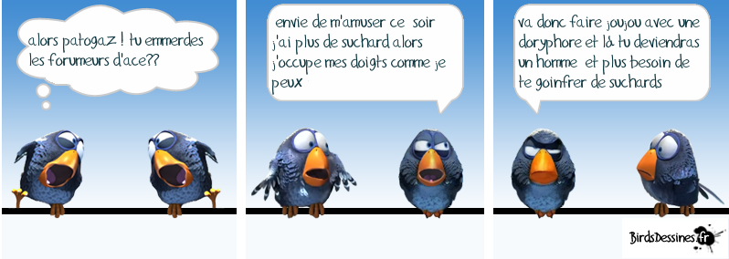 les piafs Birdsd10