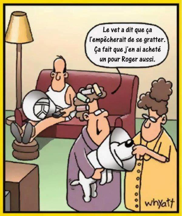 Humour en images - Page 4 Vato10