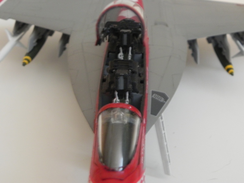F/A-18F super hornet diamonbacks Dscn0115