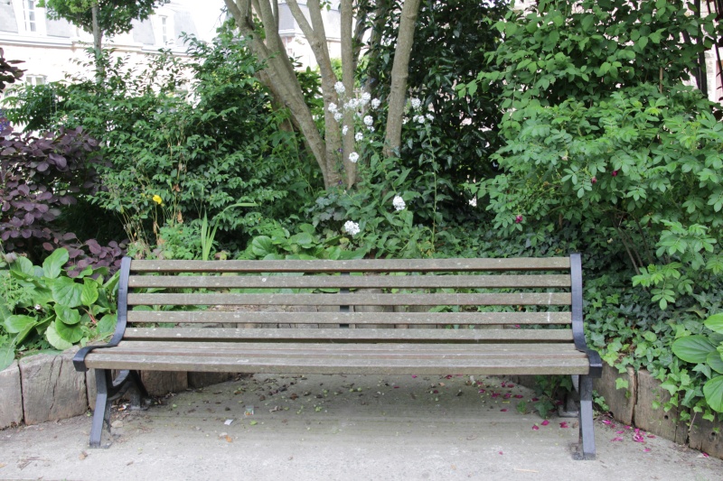 Rendez-vous sur le banc de... - Page 12 Img_0013