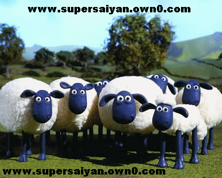 الحلقة الأولى من Shaun the Sheep على الميديافير (جودة عالية) Ouuou11