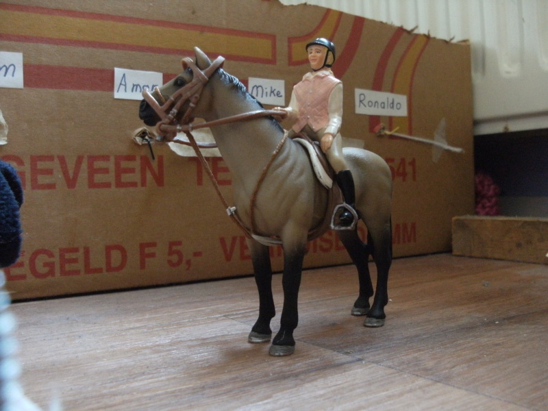 SchleichHorsesForever's additions Dscf2715