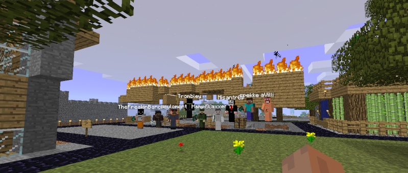 Griefer caught, Citizens raged. Loool11