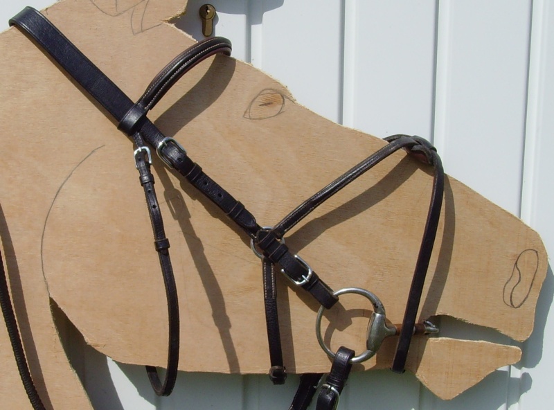 bridon norton muserolle croisée taille double poney / cheval  Snv36514