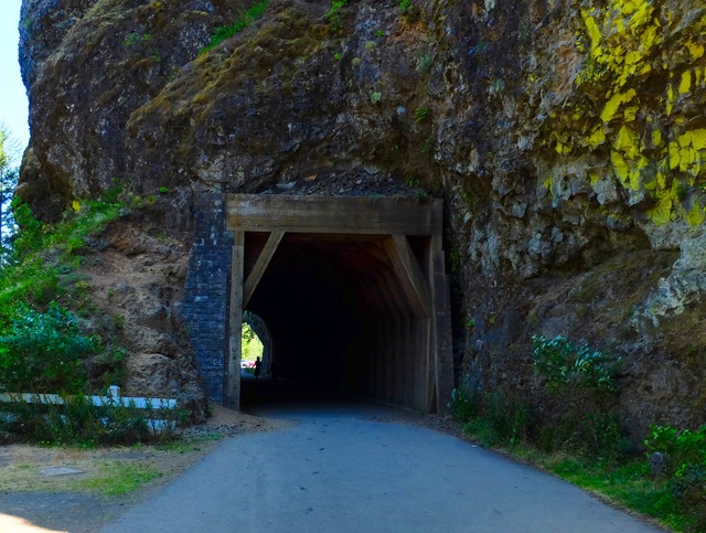 Hiking with Dogs: Columbia River Gorge, OR 710