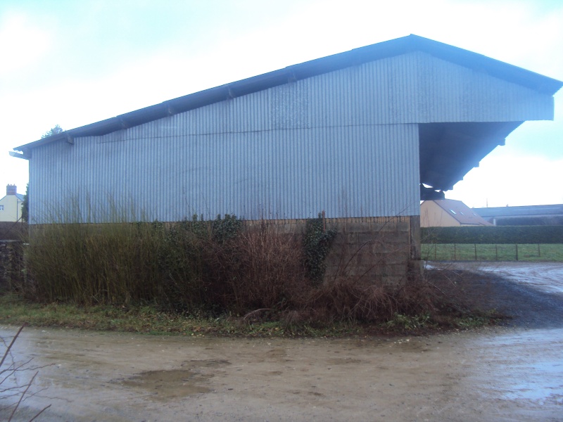 vends hangar bois a demonter Dsc01613