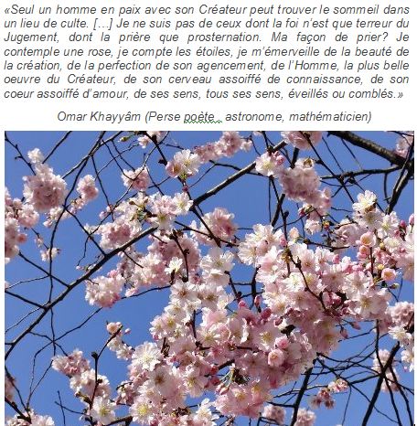 Ego et conditionnement Arbre-11