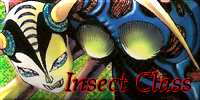 Insect Class