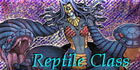 Reptile Class