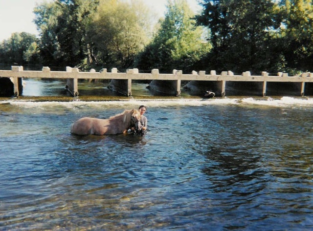 Concours : "les chevaux et l'eau" GAGNANT : "crinbleu" - Page 2 Popcor12