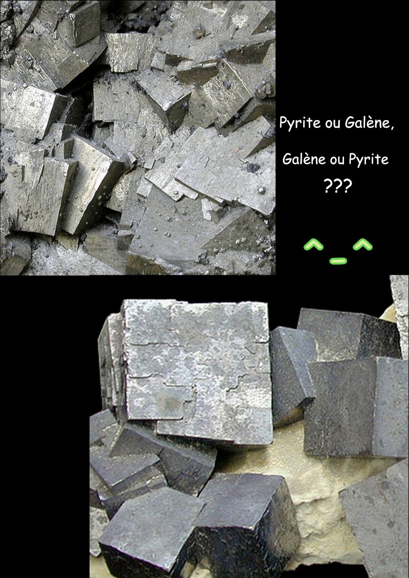 Pyrite ou galène? Bureau18