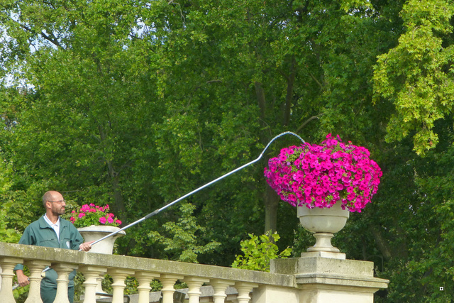 Choses vues dans le jardin du Luxembourg, à Paris - Page 4 Lux_en10