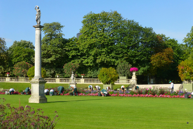 Choses vues dans le jardin du Luxembourg, à Paris - Page 4 Lux_en11