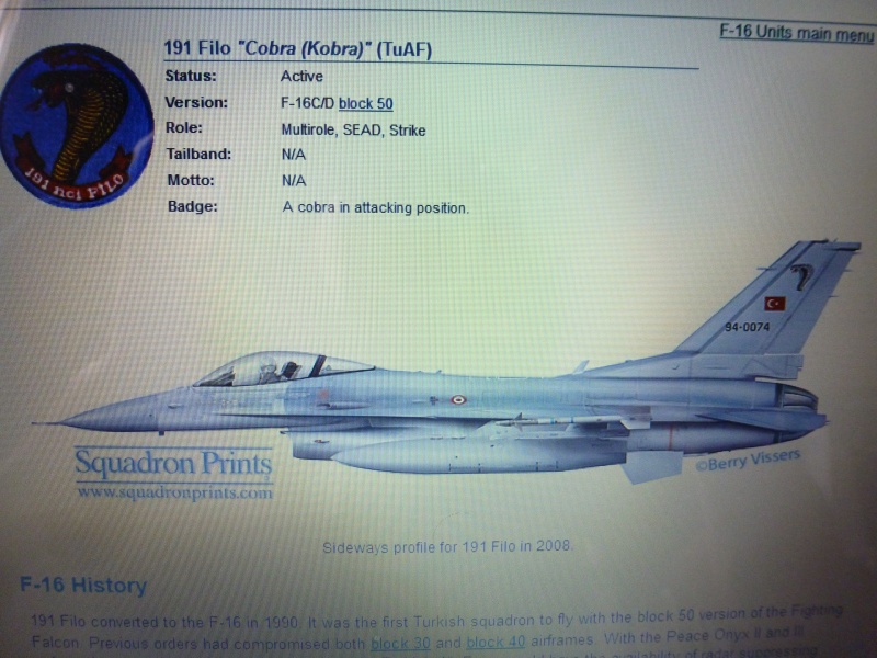 [Tamiya] F16C block 50 Viper - Turquie     P1070718